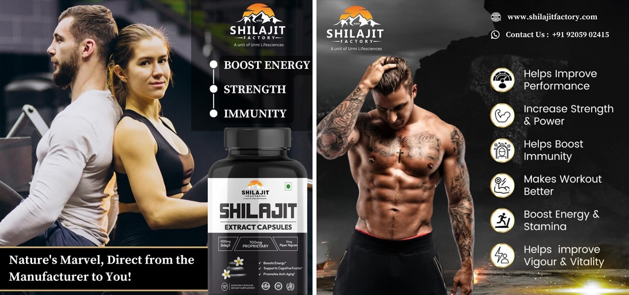 Shilajit a New Age Lifestyle Friend by Shilajit Factory India