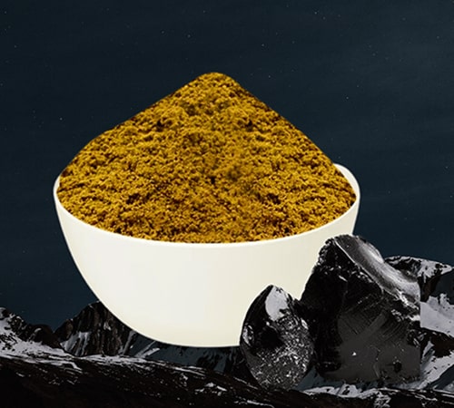 Shilajit Wholesale Suppliers in India